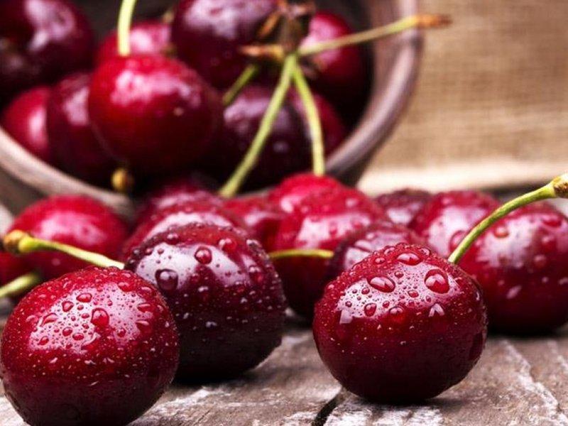 Вишня купить саженцы из питомника в Наро-Фоминске